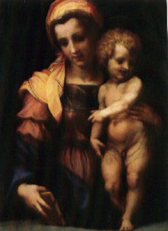 Andrea del Sarto Our Lady of subgraph oil painting image